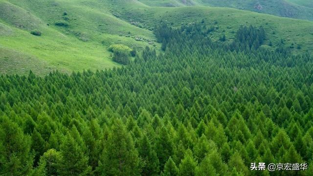 承德坝上草原全景，承德如画美景丰宁坝上草原
