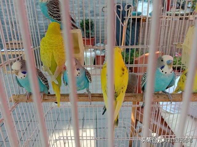 北京小吃一条街，北京有名的便宜小吃街推荐（在北京竟然能一条街吃遍全世界）