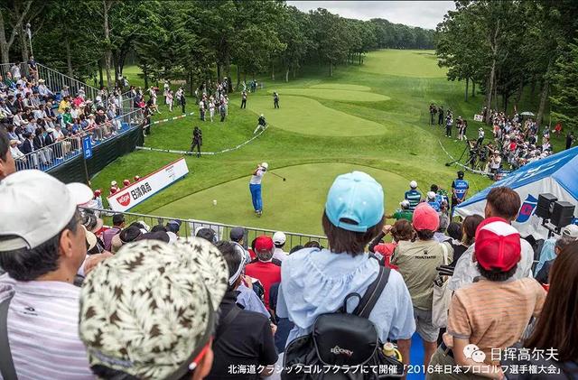 高尔夫球怎么打，怎样打高尔夫球入门（站都不对那球肯定打不好）