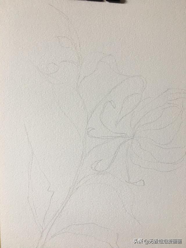 最简单的兰花画法，简单几步学习画兰草