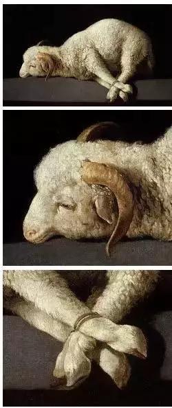 ram是什么动物，世界名画动物羊（又是一个虎年，你属什么）