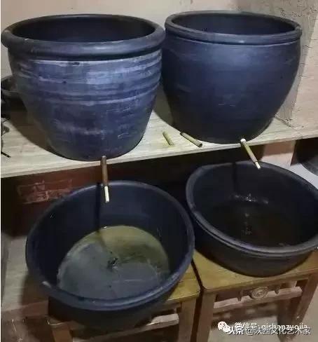 岐山县戏曲名家，岐山作家杨智文