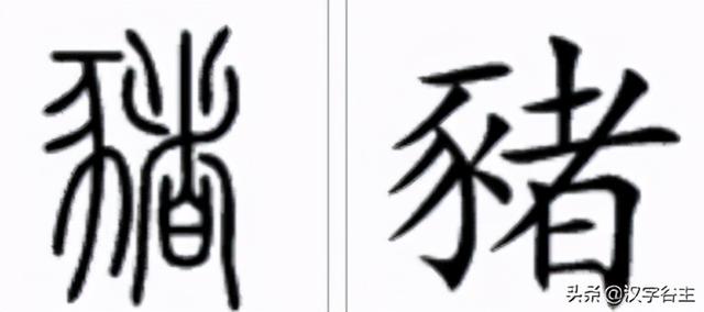 豕的由来，豕的由来（从豕字到