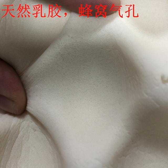 真正的乳胶枕图片，天然乳胶枕怎么辨别（教你分辨真假天然乳胶枕）
