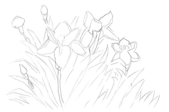 钢笔画入门基本步骤，钢笔画入门步骤详解