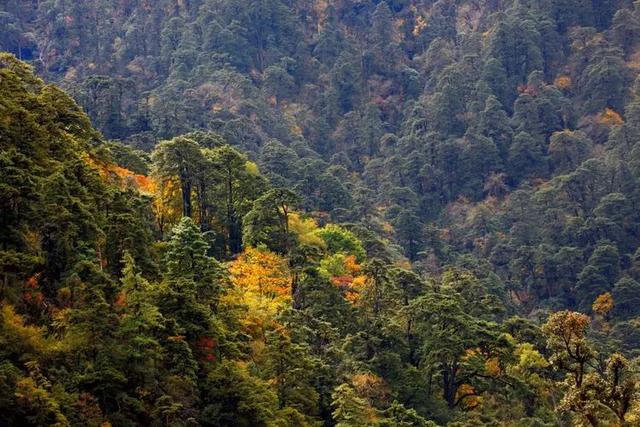 山南旅游景点大全，山南旅游最美景点