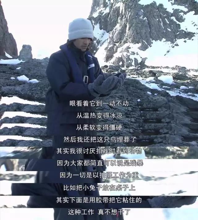 金城武到底有多帅，亚洲第一美男被赞具（金城武巅峰期有多帅）