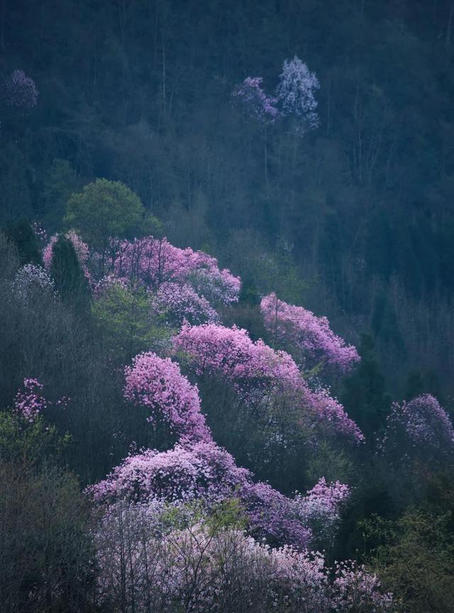 3月旅游的最佳地点，3月去什么地方旅游最好呢（三月份旅游一定要去的六个地方）