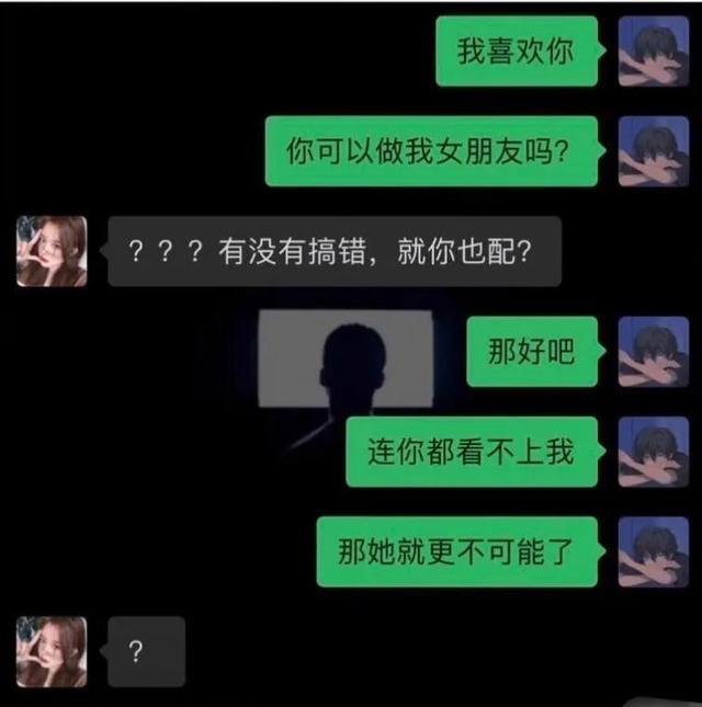 我家的猫会后空翻，你家猫会不会后空翻是什么梗（没有烦恼。我家猫会后空翻）