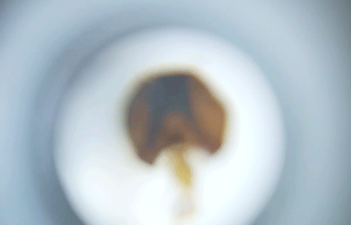 盘点小时候你没有玩过的玩具，农村孩子自制的33种难忘的玩具