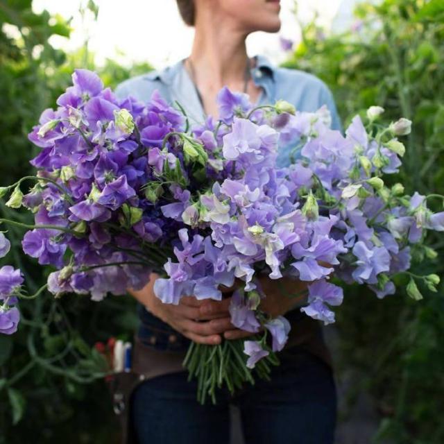 别让自己活得太累，别让自己活得太累的感言（应该学着想开、看淡）