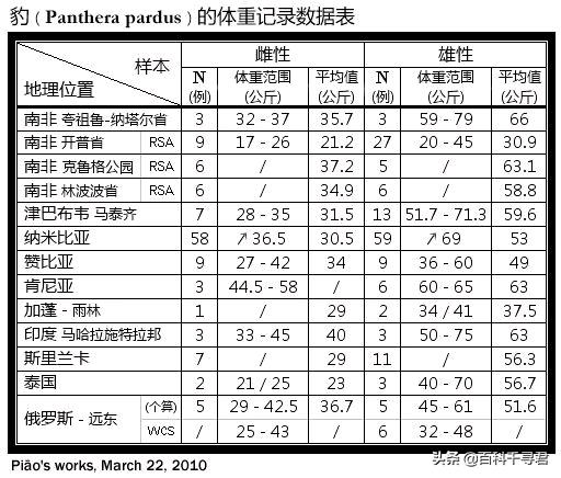 豹虎猫科动物图鉴，盘点所有猫科动物的杂交品种