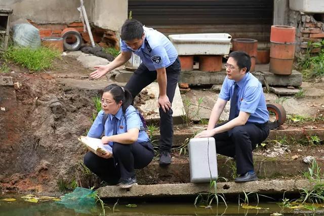 检察院人员个人简历，新时代检察人风采（新时代优秀检察人员）