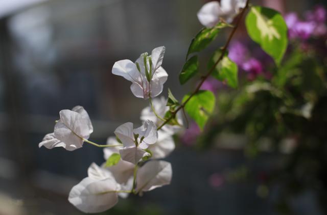 摄影的参数详解，相机常规参数设置