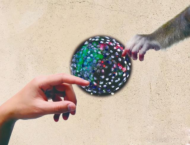 世界首例体细胞克隆猴，中国科学家创建世界首例生物节律紊乱体细胞克隆猴模型