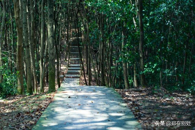 杭州冷门爬山路线，杭州登山路线08最好在这里