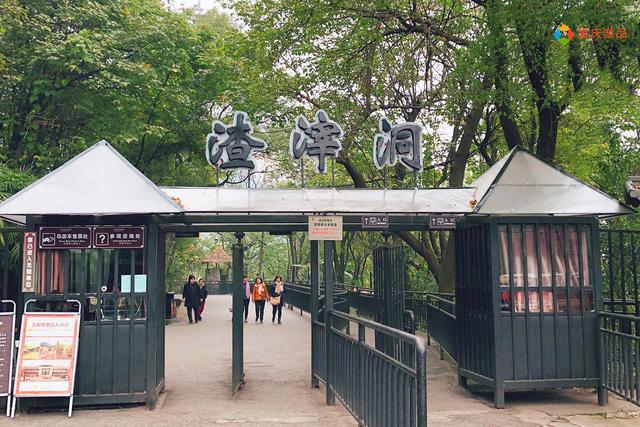 北碚自然博物馆，国际博物馆日怎么过（重庆自然博物馆多久逛完比较好）