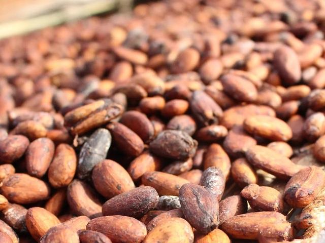 全球最精致的巧克力，世界上第4种巧克力