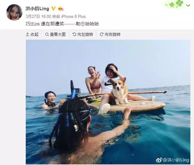 放羊星星女主角，放羊的星星女主角都是谁（《放羊的星星》是我人生中最棒的作品）