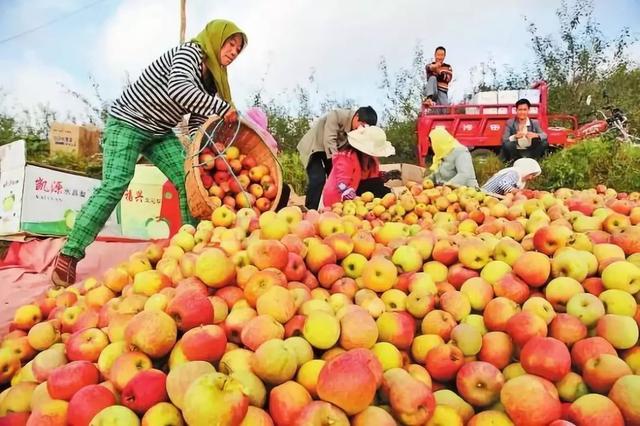 春天有哪些水果，适合春天吃的水果有哪些呢