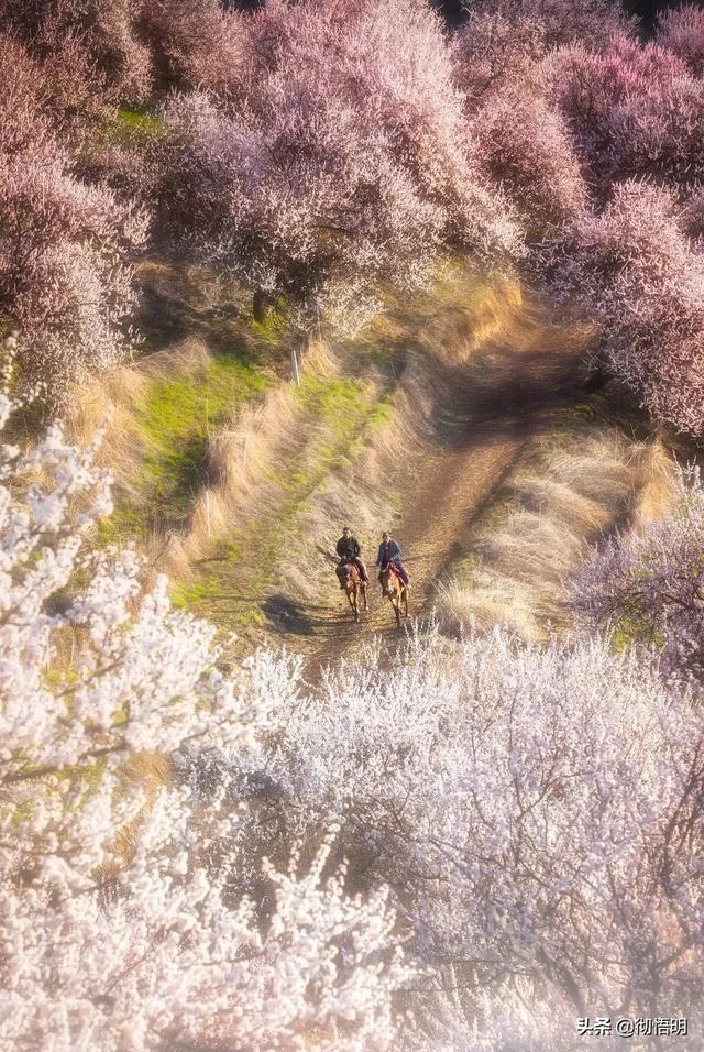 世界最美的地方，世界最美十大地方