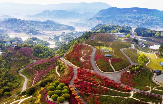 南湖多彩植物园，这个季节重庆哪些地方旅游最适合（邀你来看“漫山红”）