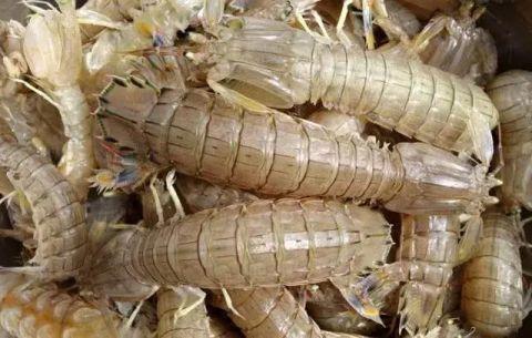 皮皮虾怎样水煮，煮皮皮虾也有小诀窍