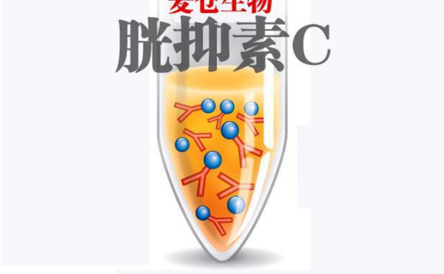 糖尿病胱抑素(糖尿病胱抑素c1.35肌酐94)