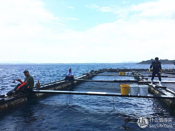 海南西线旅游景点，海南岛西线最佳旅游路线调查