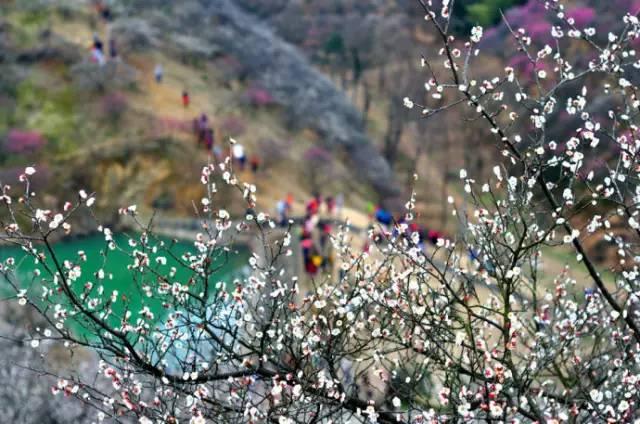 适合12月份去的旅行地，2月绝美旅行地推荐