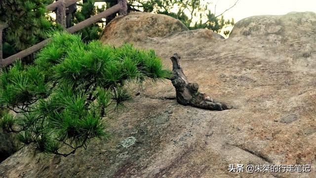 黄山特色景点一日游，黄山一日游攻略
