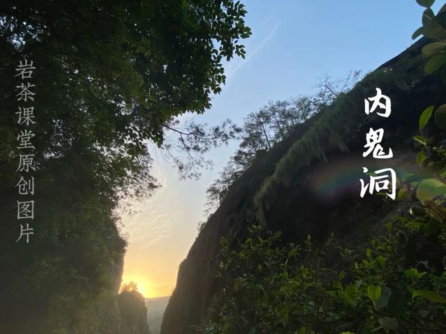 牛栏坑肉桂特点，岩茶天花板——R8牛栏坑肉桂