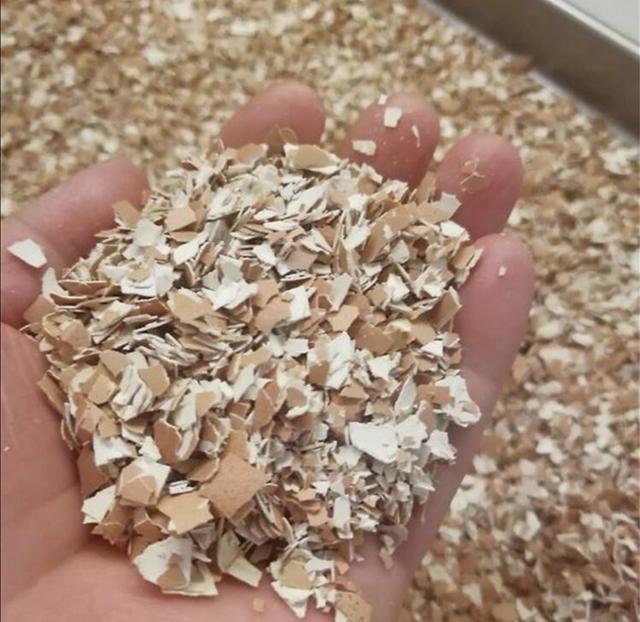 月季多头开花的方法，为什么月季只有1个花苞