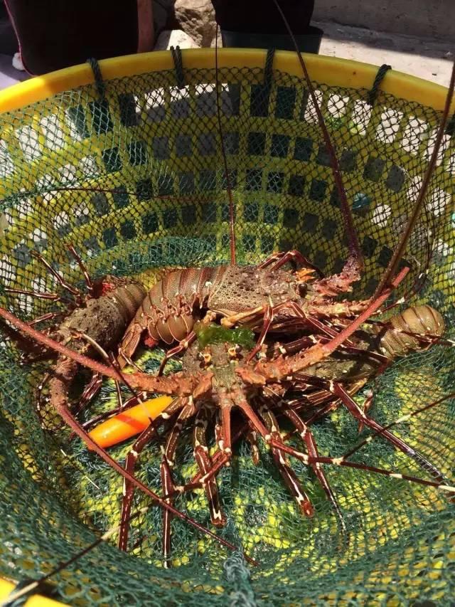 南沙群岛自由行旅游攻略，寸土必争的南海