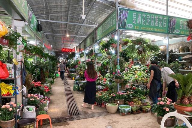 昆明最大的鲜花市场叫什么名字，昆明最受欢迎的2大花市