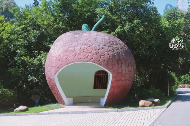 南宁附近花海景点推荐，南宁这几处花海，美了