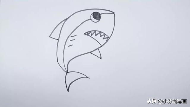 大鲨鱼简笔画简单又好看，海里最凶猛的大白鲨绘画步骤