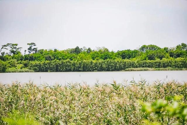 深圳游玩攻略必去的地方免费，7个遛娃好去处全免费