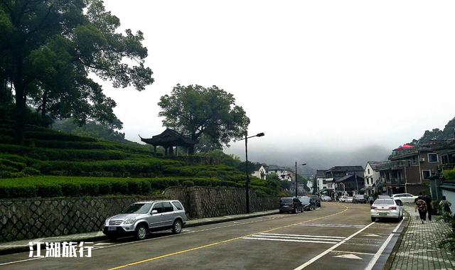 杭州梅家坞风景，到了杭州梅家坞古村