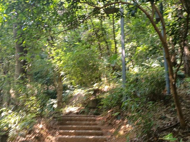 长沙市内十大公园，长沙本地人告诉你这10个地方不能少