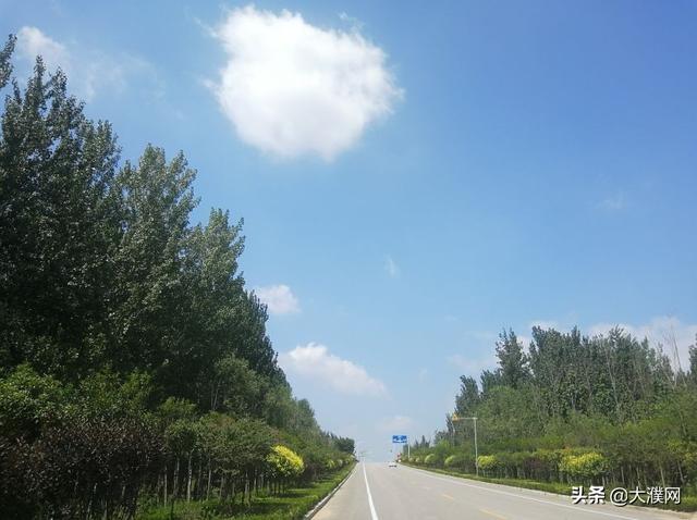 濮阳有什么好玩的景点，濮阳旅游景点推荐一下（行走河南·读懂中国丨不负好春光）
