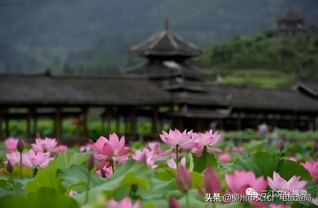 三江必去的景点，三江旅游攻略必玩的景点