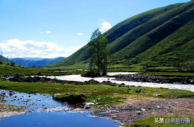 新都桥草原风景，新都桥—塔公草原—雅砻江河谷——迷人的夏季风光