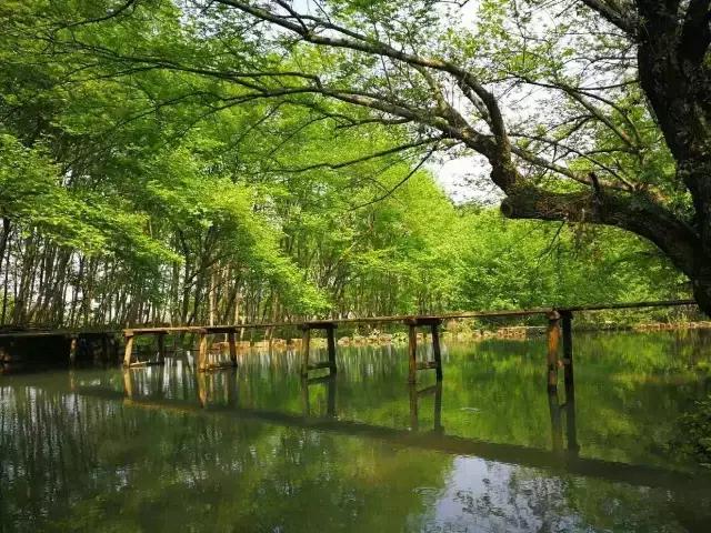 芜湖景点有哪些值得去玩的，芜湖必去的景点（这里经典必游的六个地方）