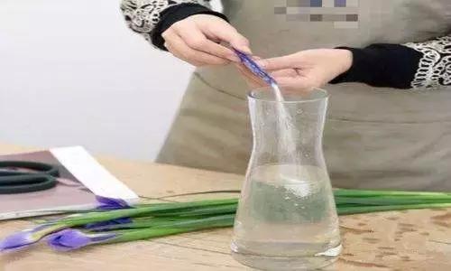 鲜花保鲜剂怎么用，五种鲜花的保鲜方法