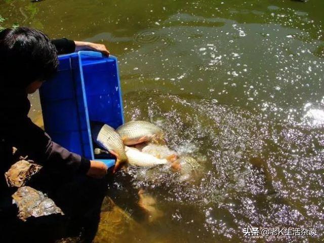 现在老北京的风俗，老北京五大特色民俗文化