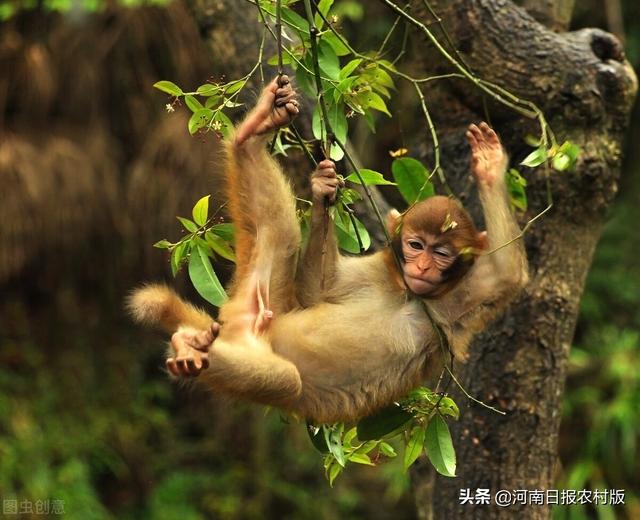 济源五一旅游景点推荐，五一去哪玩济源这几条精品旅游线路任你选