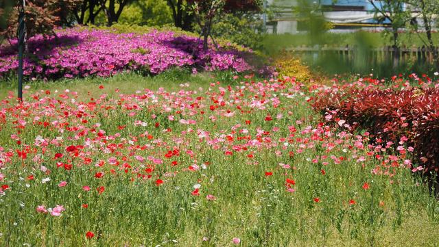 奥林巴斯em1，奥林巴斯em1mark3测评