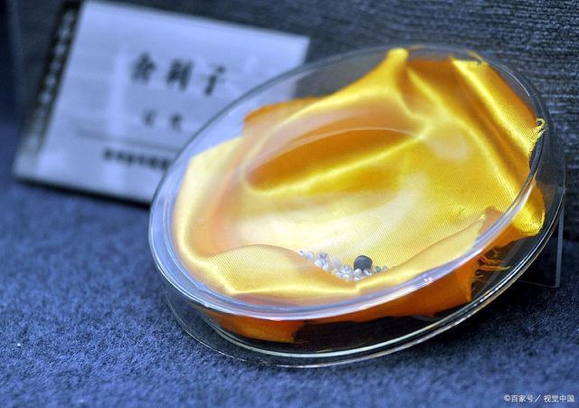 舍利子为什么很珍贵，舍利子究竟是什么