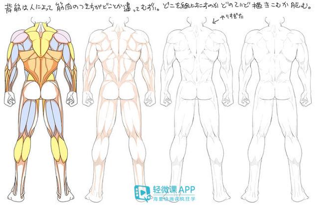 新手如何学会画漫画，绘画经验如何有效的学习画漫画